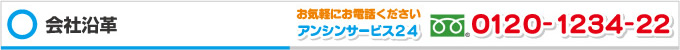 アンシンサービス24 会社沿革